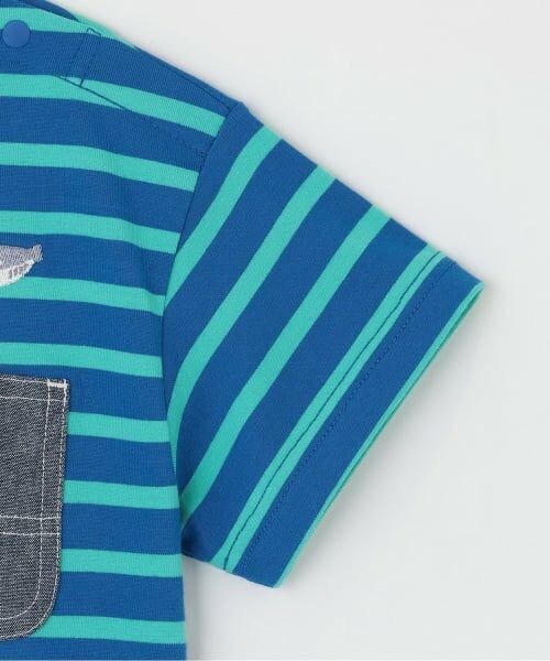 kladskap / クレードスコープ Tシャツ | 太古の生きものボーダー半袖Tシャツ | 詳細5