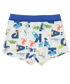 kladskap / クレードスコープ ショーツ | 総柄アンダーウェア