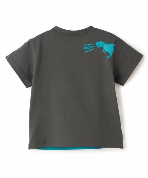 kladskap / クレードスコープ Tシャツ | ☆彡恐竜プリントボーダー半袖Tシャツ | 詳細1