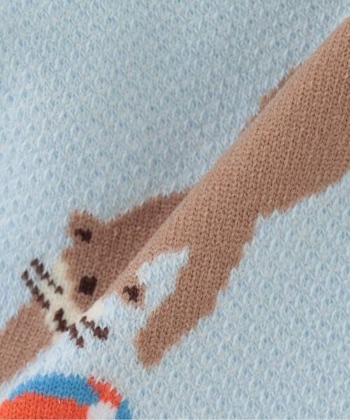 kladskap / クレードスコープ ソックス | カワウソスニーカーインソックス | 詳細2