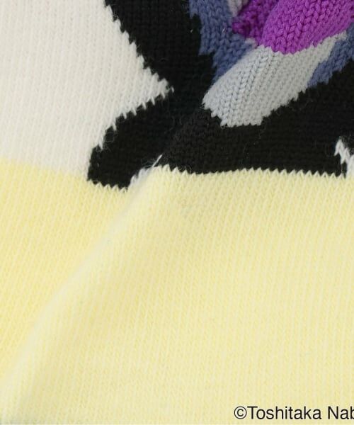 kladskap / クレードスコープ ソックス | 【こびとづかん】ぷっくりクルーソックス | 詳細3