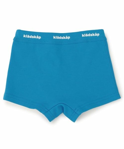 kladskap / クレードスコープ ショーツ | 恐竜/働く車アンダーウエア | 詳細1