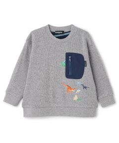 kladskap / クレードスコープ Tシャツ | 恐竜刺しゅう接結長袖Tシャツ