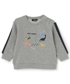 kladskap / クレードスコープ Tシャツ | ☆彡恐竜刺しゅう袖ライントレーナー