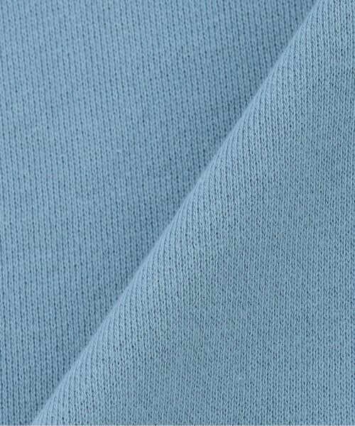 kladskap / クレードスコープ Tシャツ | ☆彡恐竜刺しゅう袖ライントレーナー | 詳細7