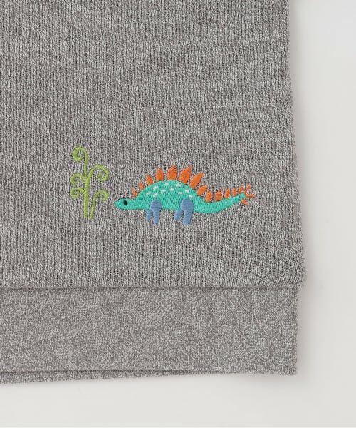 kladskap / クレードスコープ Tシャツ | ☆彡恐竜接結長袖Tシャツ | 詳細6