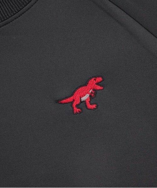 KP / ケーピー スウェット | KPBOY 恐竜刺しゅうライン入り上下セット(110～150) | 詳細9