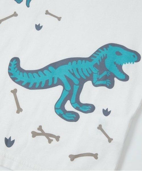 KP / ケーピー Tシャツ | KPBOY(ケーピーボーイ)CAYA 虫除け恐竜モチーフ半袖Tシャツ90 | 詳細4