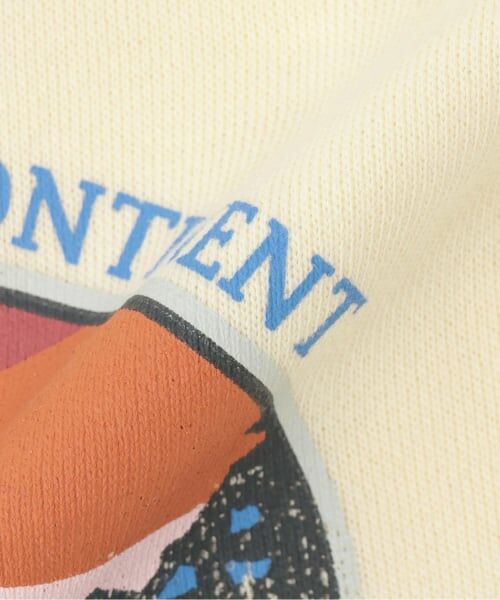 KP / ケーピー スウェット | 恐竜プリント 裏毛トレーナー 【吸湿発熱加工】 | 詳細6