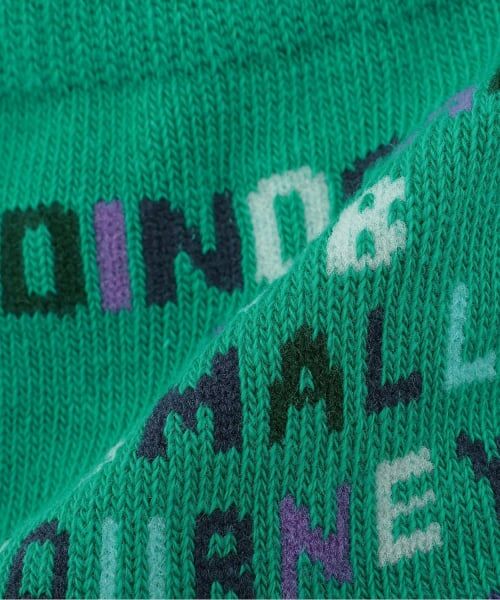 KP / ケーピー ソックス | 恐竜・ライン 2Pソックス | 詳細4