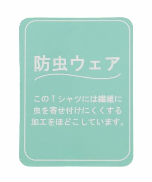 KP / ケーピー Tシャツ | 天竺×先染チェック 上下セット | 詳細13