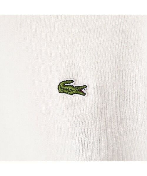 LACOSTE / ラコステ ニット・セーター | 【EC限定】オーガニックコットンプレーンセーター | 詳細20