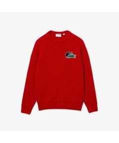 LACOSTE / ラコステ （メンズ） ニット・セーター | ファッション通販