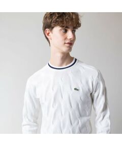 LACOSTE / ラコステ （メンズ） | ファッション通販 タカシマヤ