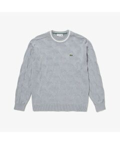 LACOSTE / ラコステ （メンズ） ニット・セーター | ファッション通販