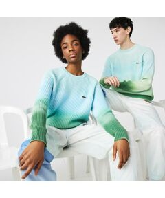 LACOSTE / ラコステ ニット・セーター | ラコステライブ グラデーションカラーリラックスフィットセーター