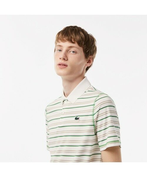 LACOSTE！ボーダー！