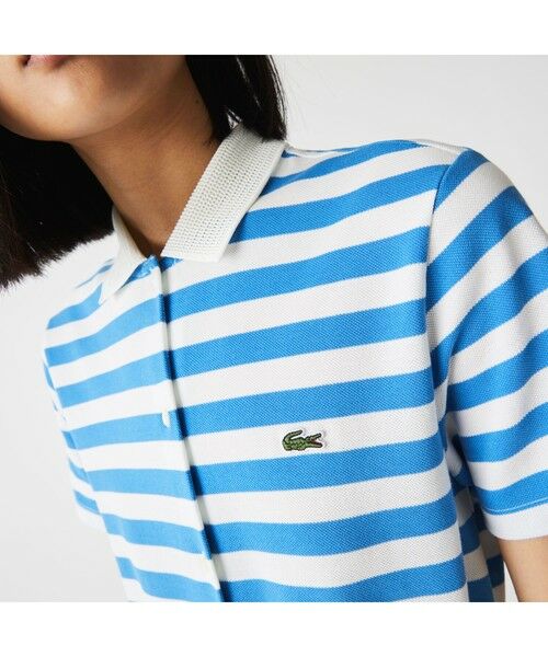 LACOSTE / ラコステ ミニ丈・ひざ丈ワンピース | 鹿の子地マキシシャツドレス | 詳細5