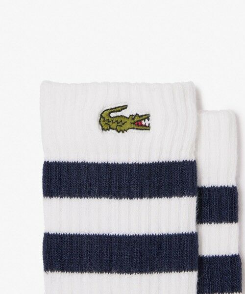 LACOSTE / ラコステ ソックス | 【EC限定】BOYS ラインソックス2枚セット | 詳細6