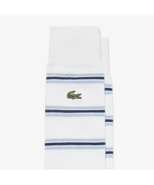 LACOSTE / ラコステ ソックス | スモールピッチボーダーソックス | 詳細2