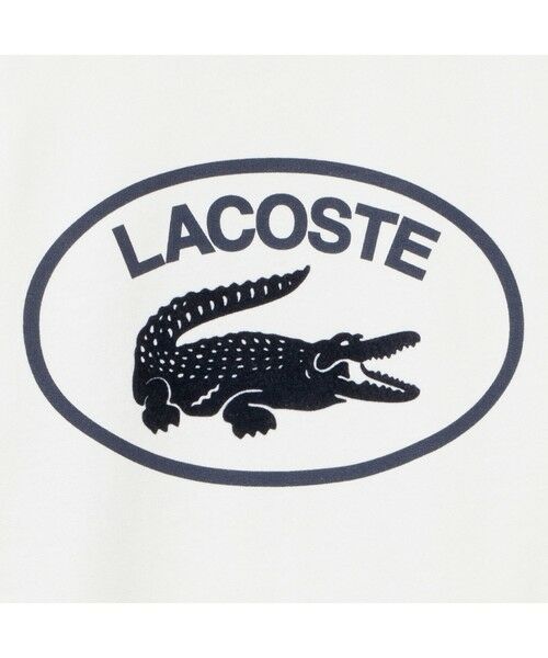 LACOSTE / ラコステ スウェット | ラウンドラージクロッククルーネックスウェットシャツ | 詳細4