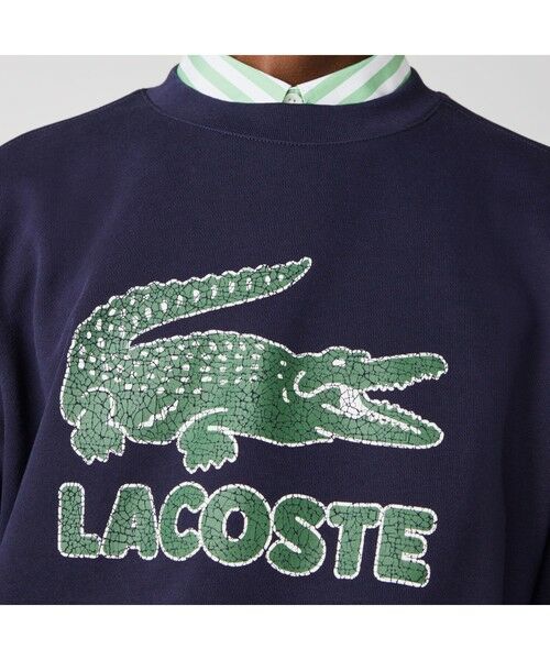 LACOSTE / ラコステ スウェット | クラックワニロゴクルーネックスウェット | 詳細3