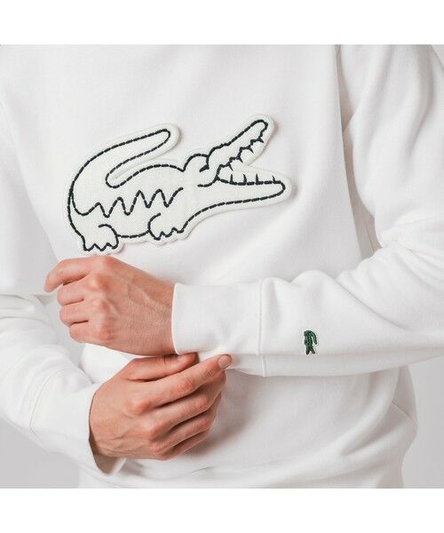 LACOSTE / ラコステ スウェット | ビッグクロックエンブレムクルーネックスウェット | 詳細8