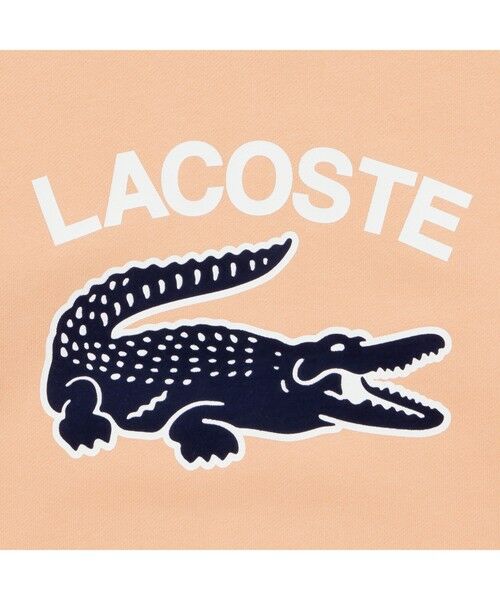 LACOSTE / ラコステ スウェット | ビッグクロックカレッジロゴクルーネックスウェット | 詳細19