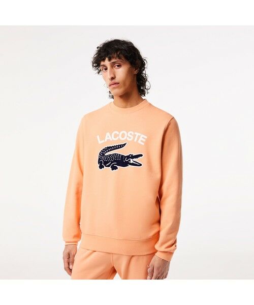 【LACOSTE】クラシッククロックスエット