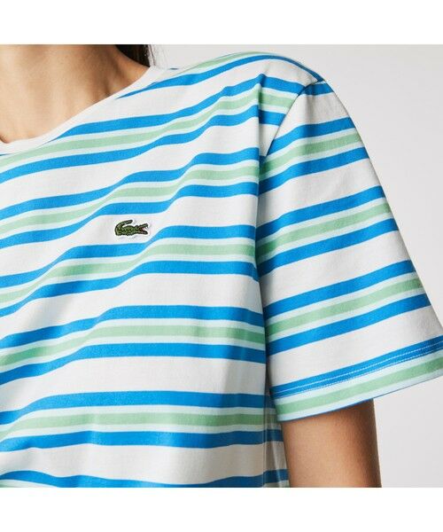 LACOSTE / ラコステ Tシャツ | ボーダーTシャツ | 詳細8