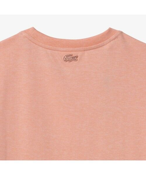 LACOSTE / ラコステ Tシャツ | シグニチャープリントTシャツ | 詳細6