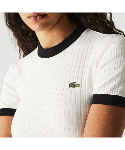 LACOSTE / ラコステ ニット・セーター | LACOSTE L!VE コントラストリブTシャツ | 詳細4