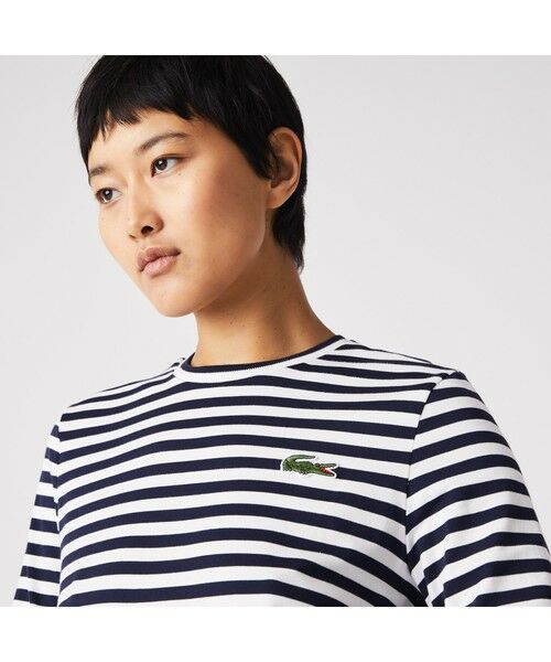 LACOSTE / ラコステ Tシャツ | ベーシックボーダーTシャツ | 詳細5