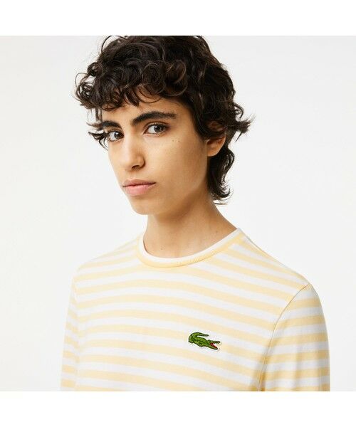 LACOSTE / ラコステ Tシャツ | ベーシックボーダーTシャツ | 詳細4