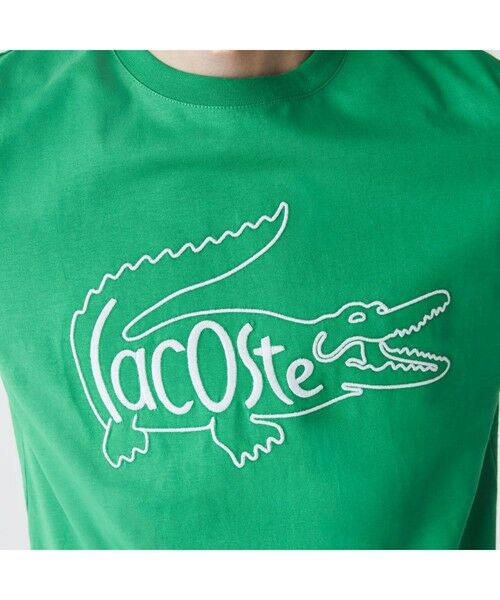 LACOSTE / ラコステ Tシャツ | ヘリテージビッグロゴ刺しゅうTシャツ | 詳細14