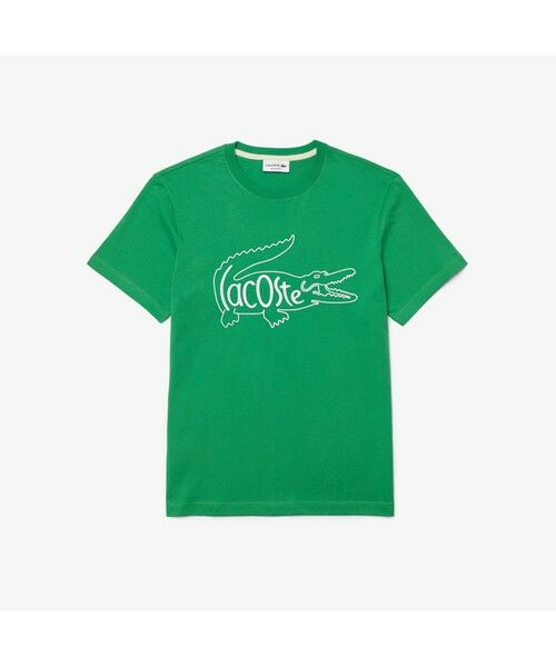 LACOSTE / ラコステ Tシャツ | ヘリテージビッグロゴ刺しゅうTシャツ | 詳細15