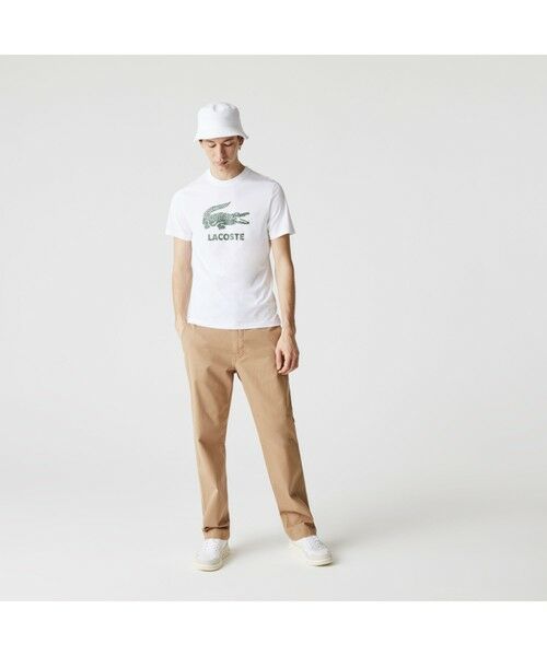 LACOSTE / ラコステ Tシャツ | クラックワニロゴTシャツ | 詳細2