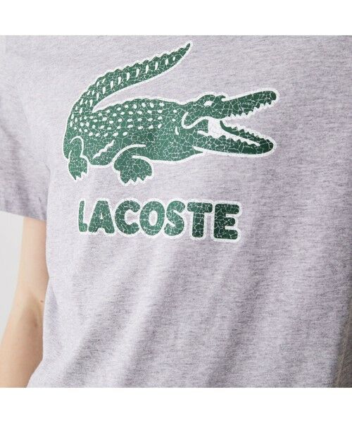 LACOSTE / ラコステ Tシャツ | クラックワニロゴTシャツ | 詳細16