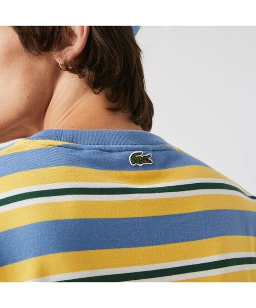 LACOSTE / ラコステ カットソー | オーバルワッペンボーダーTシャツ | 詳細5