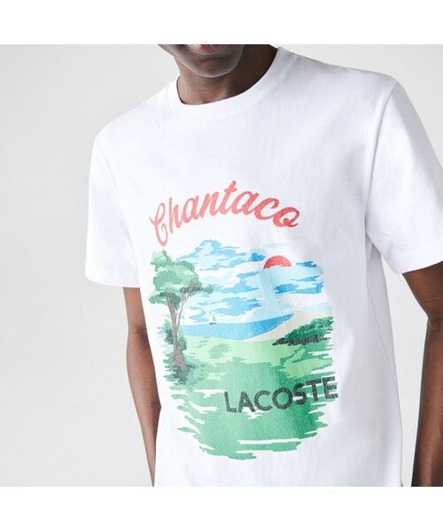 LACOSTE / ラコステ Tシャツ | ランドスケープグラフィックTシャツ | 詳細10