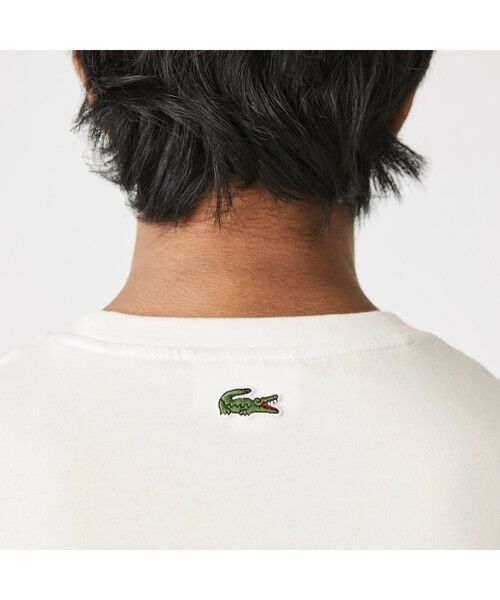 LACOSTE / ラコステ Tシャツ | シグネチャーロゴTシャツ | 詳細4