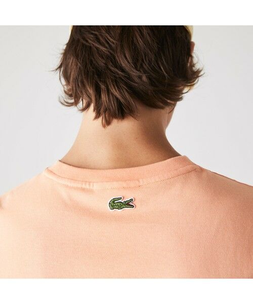 LACOSTE / ラコステ Tシャツ | シグネチャーロゴTシャツ | 詳細14