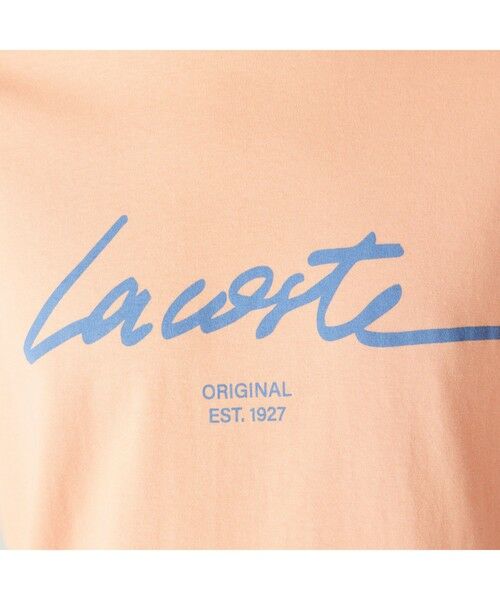 LACOSTE / ラコステ Tシャツ | シグネチャーロゴTシャツ | 詳細15