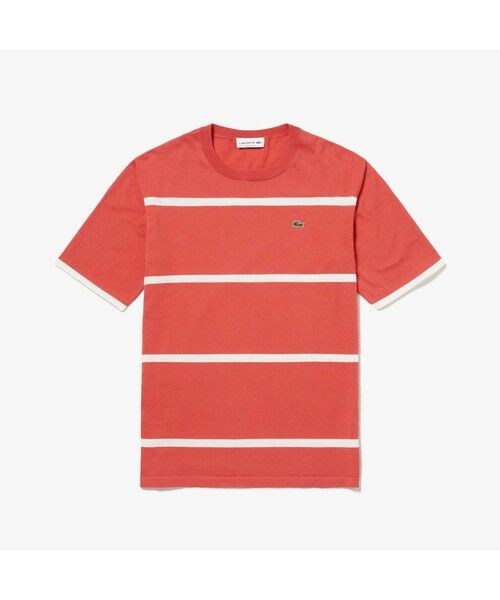 LACOSTE / ラコステ Tシャツ | クールマックスニットボーダーTシャツ | 詳細7