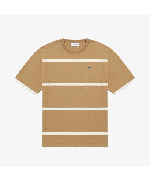 LACOSTE / ラコステ Tシャツ | クールマックスニットボーダーTシャツ | 詳細15