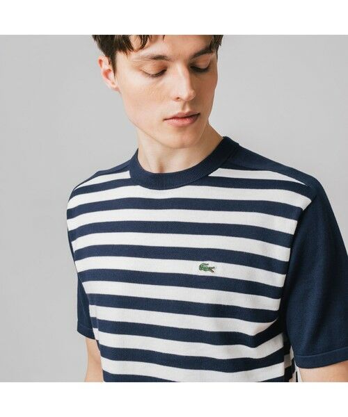 LACOSTE / ラコステ Tシャツ | コットンニットマリンボーダーTシャツ | 詳細8