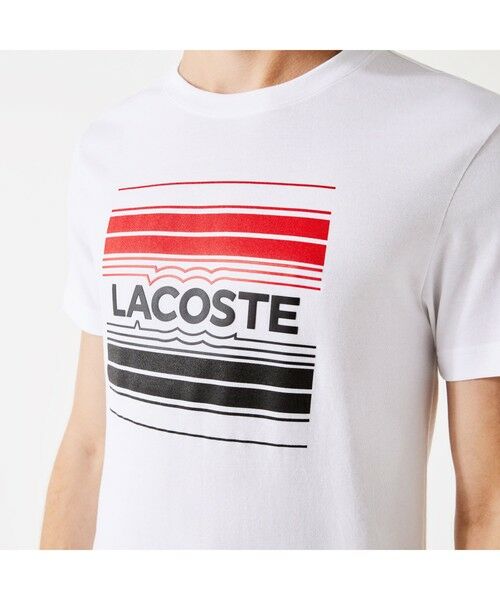 LACOSTE / ラコステ Tシャツ | ベーシックグラフィックウルトラドライクルーネックTシャツ | 詳細1
