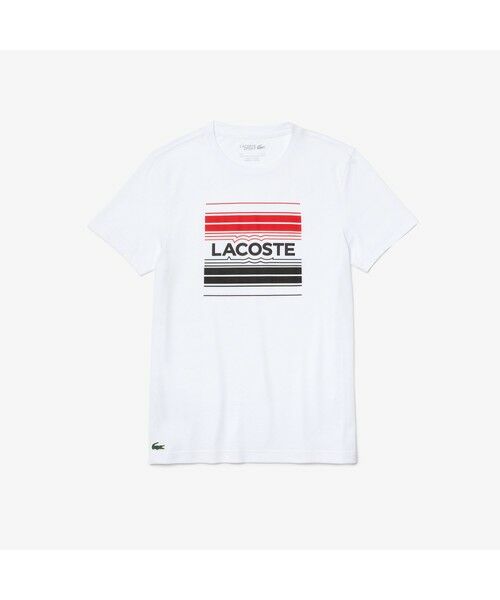 LACOSTE / ラコステ Tシャツ | ベーシックグラフィックウルトラドライクルーネックTシャツ | 詳細4