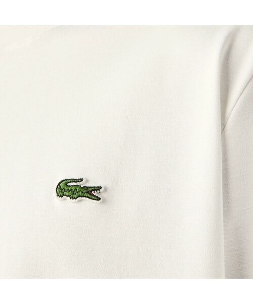 LACOSTE / ラコステ Tシャツ | オーガニックコットンTシャツ | 詳細7