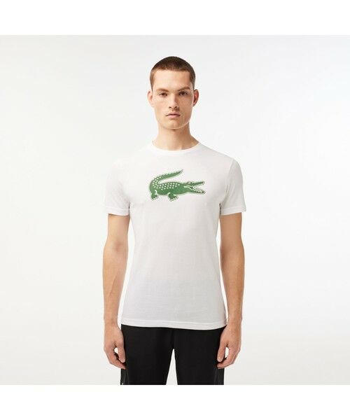 ラコステ(LACOSTE) tシャツ メンズTシャツ・カットソー | 通販・人気